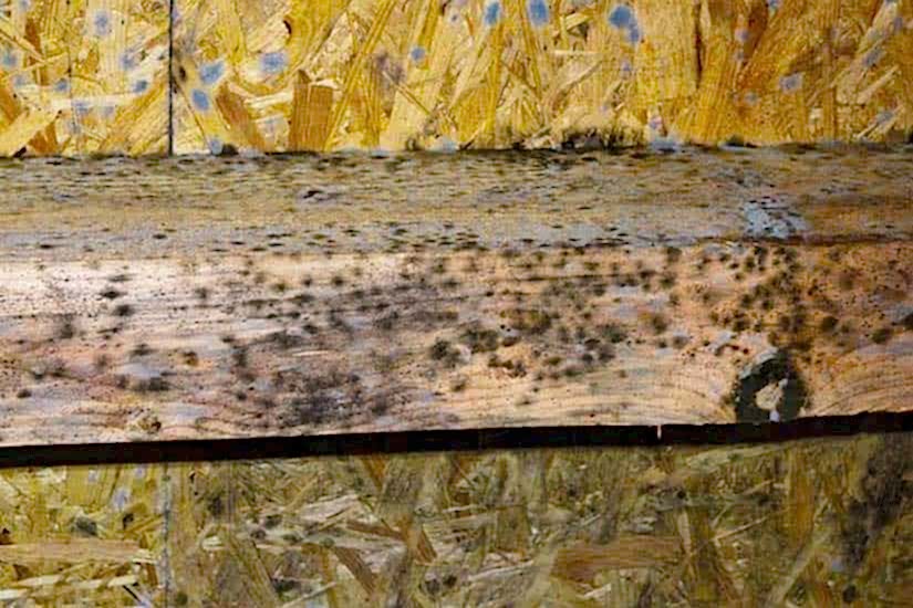 Ahşaptaki Küf Nasıl Temizlenir?