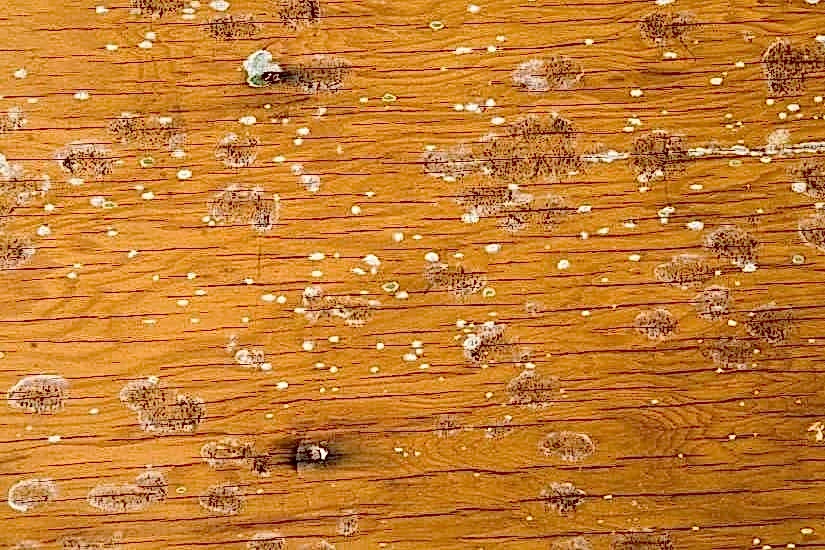 Ahşaptan Küf Lekesi Nasıl Çıkar?