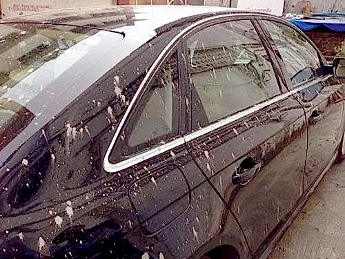 Araba Kaportasından Çimento Lekesi Nasıl Çıkar