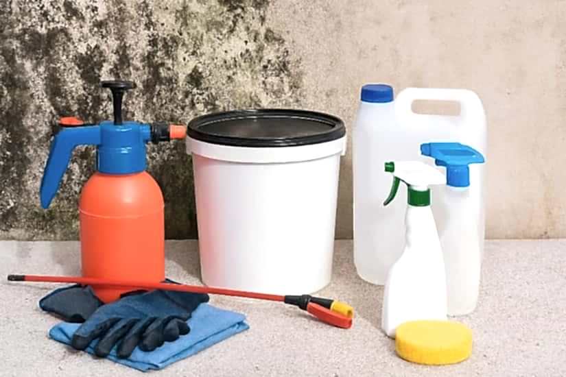 En İyi Küf Önleyici Boya Hangisi?