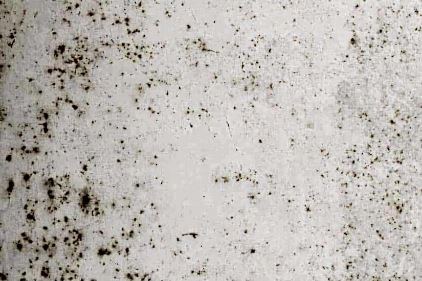 Küf Lekesi Nasıl Çıkar?